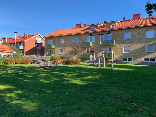 Bostad hyra i Umeå, Västerbotten