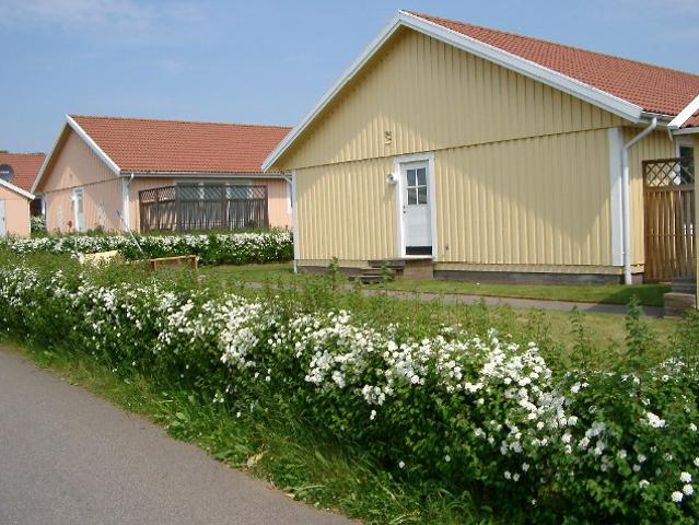 Bostad hyra i Västra Karup, Skåne