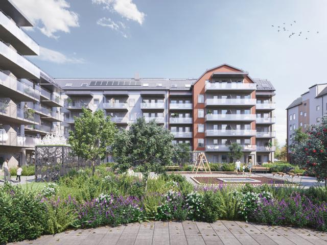 Bostad hyra i Umeå, Västerbotten