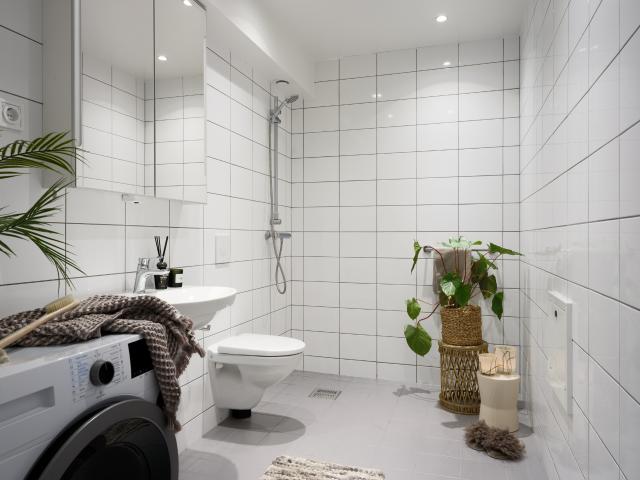 Bostad hyra i Bureå, Västerbotten