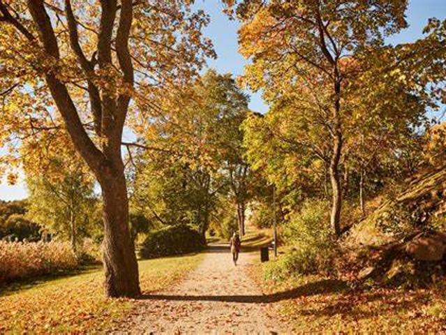 Bostad hyra i Knivsta, Uppsala