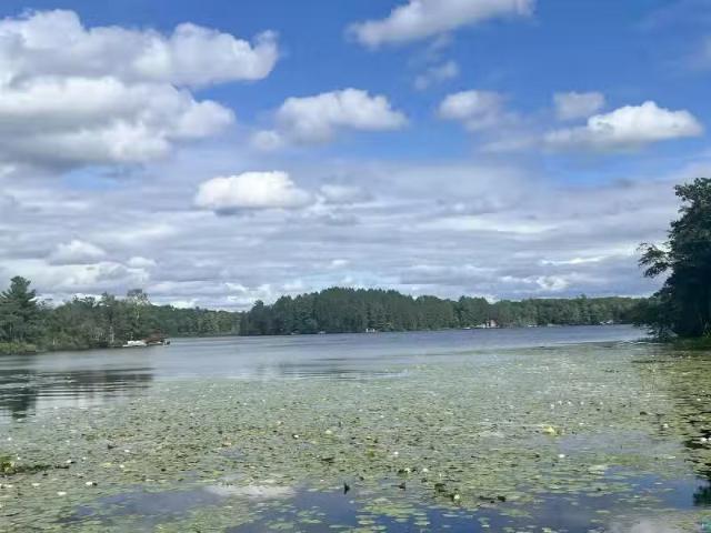 House for rent in Superior