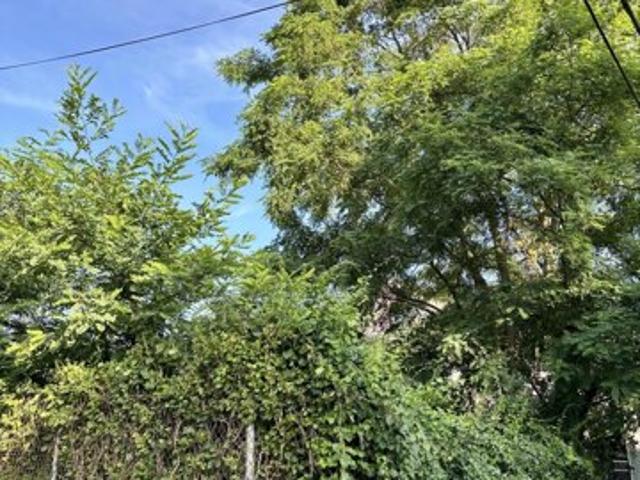 Land for sale in Bridgeport