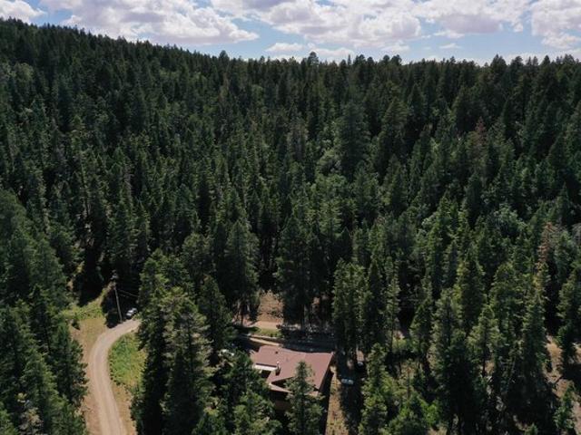 Land for sale in Cloudcroft, New Mexico