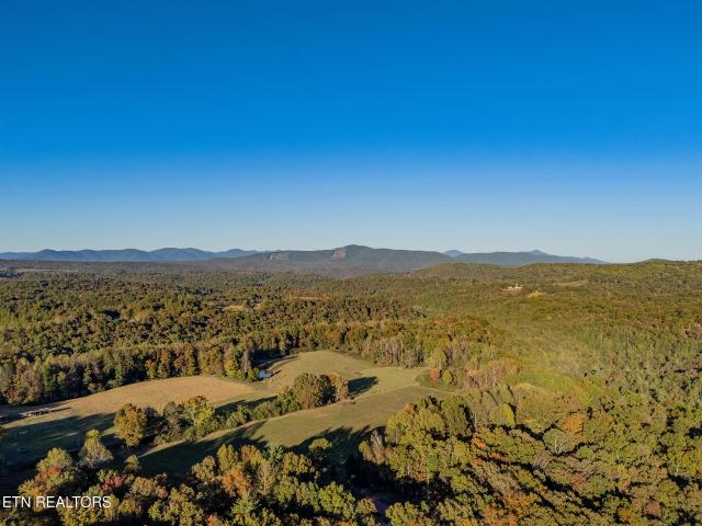 Land for sale in Oakdale, East Tennessee