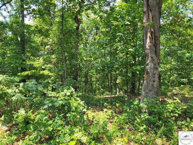 Land for sale in Missouri