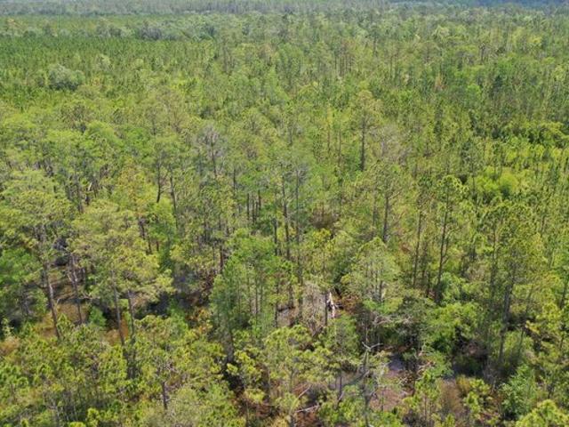 Land for sale in Lee, Florida