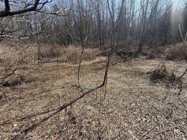 Land for sale in East Lee, Lee