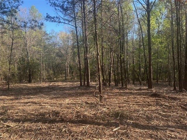 Land for sale in Dahlonega, Georgia