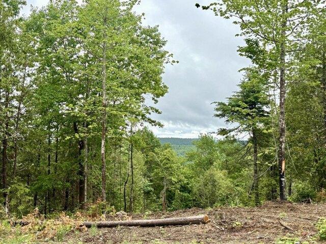 Land for sale in Lee, Maine