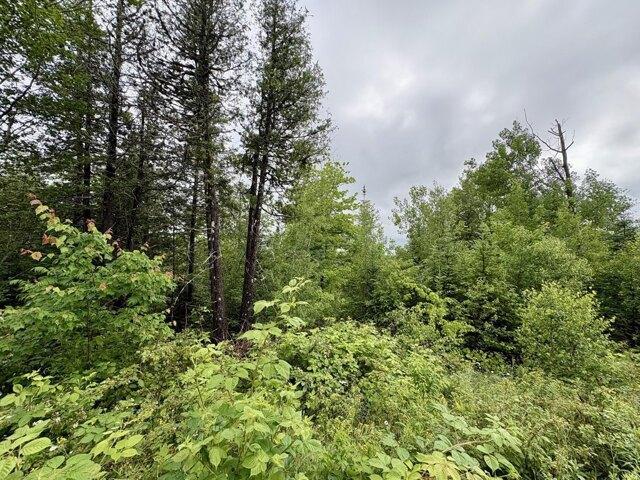 Land for sale in Lee, Maine
