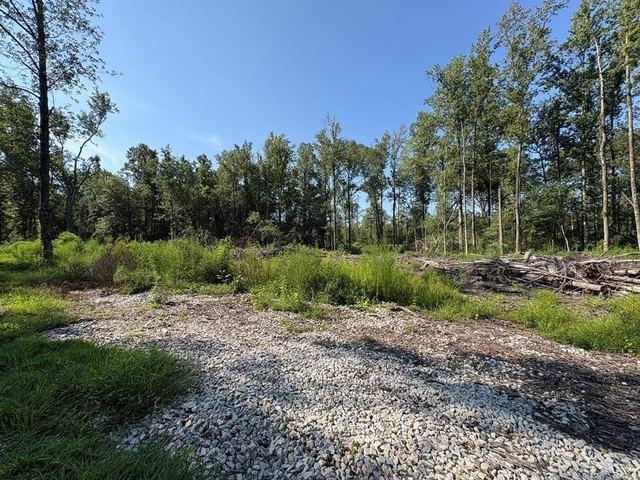 Land for sale in Smiths Station, Lee County