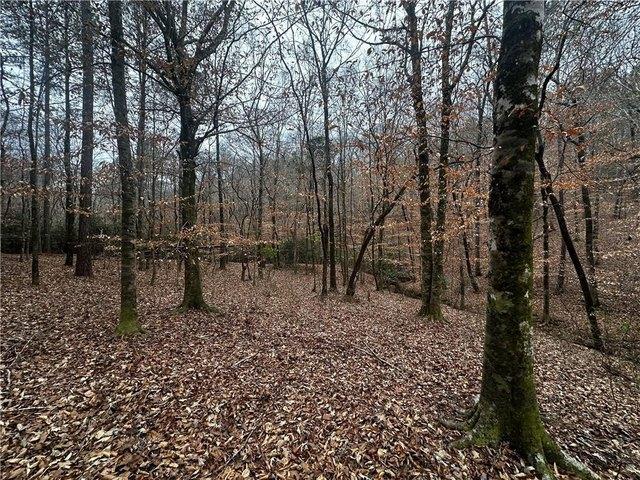Land for sale in Valley, Alabama