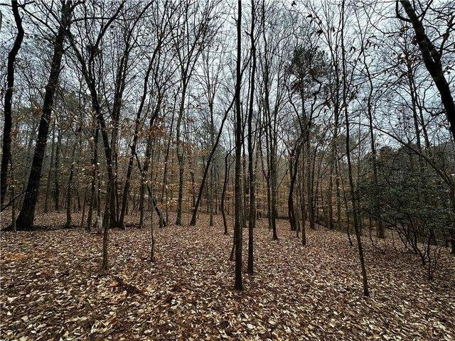 Land for sale in Valley, Alabama