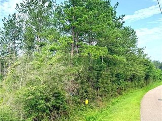 Land for sale in Franklinton, Louisiana