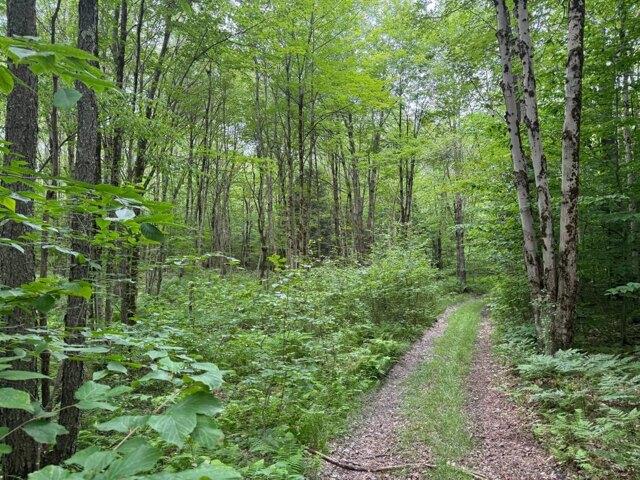 Land for sale in Oneida, New York