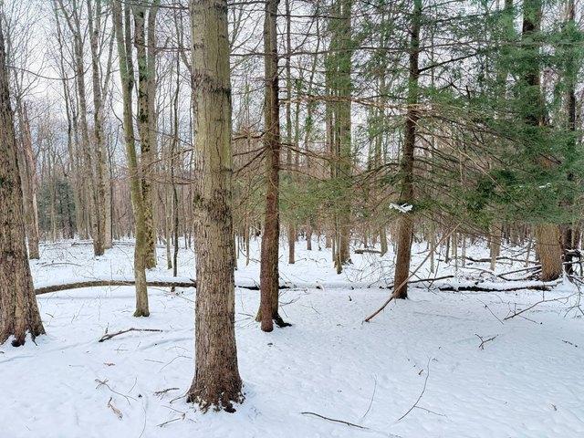 Land for sale in Waterford, Pennsylvania