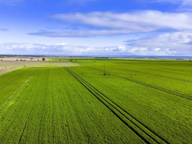 Property for sale in Wellington, South Australia