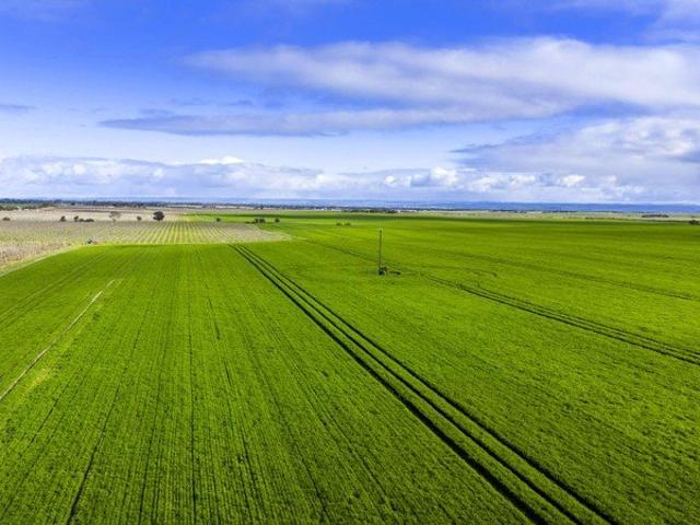 Property for sale in Wellington, South Australia
