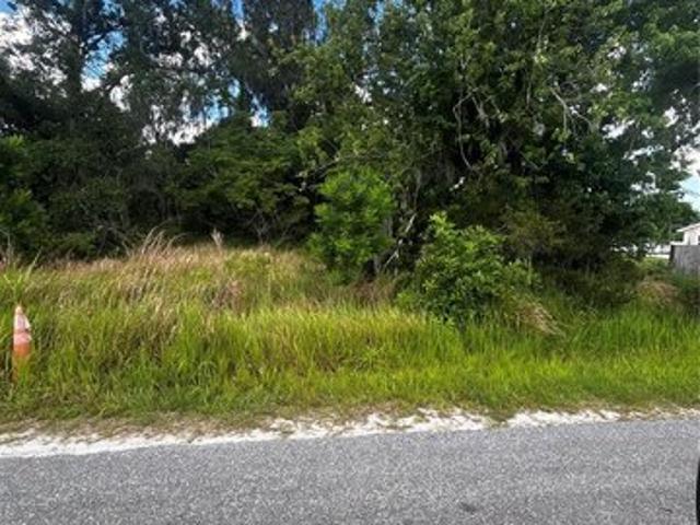 Land for sale in Bowling Green, Florida