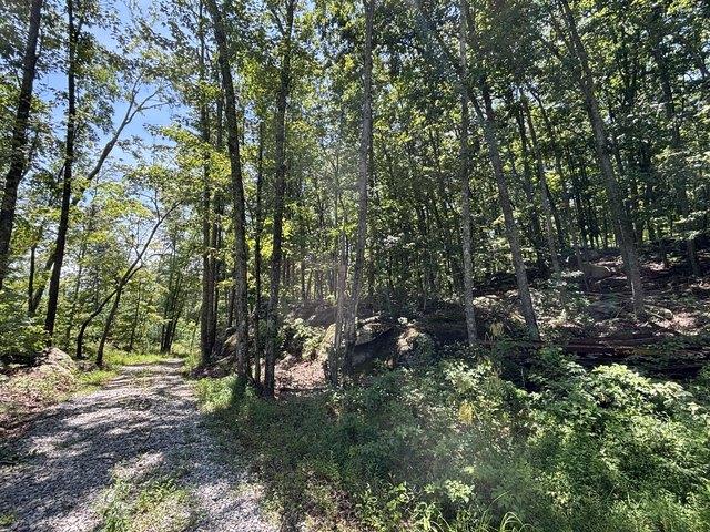 Land for sale in Tennessee