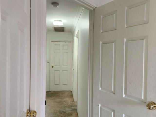 Room for rent in Leederville, Western Australia