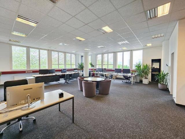 Immobilie kaufen in Renens, Waadt