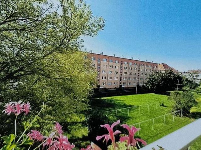 Wohnung kaufen in Eutritzsch, Leipzig