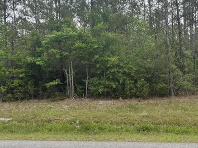 Land for sale in Picayune, Mississippi