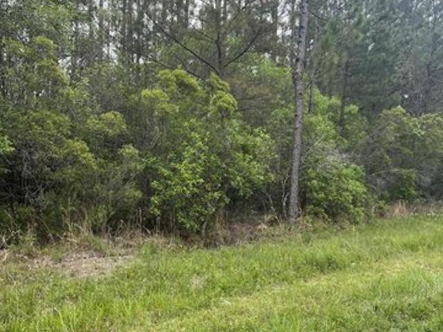 Land for sale in Picayune, Mississippi