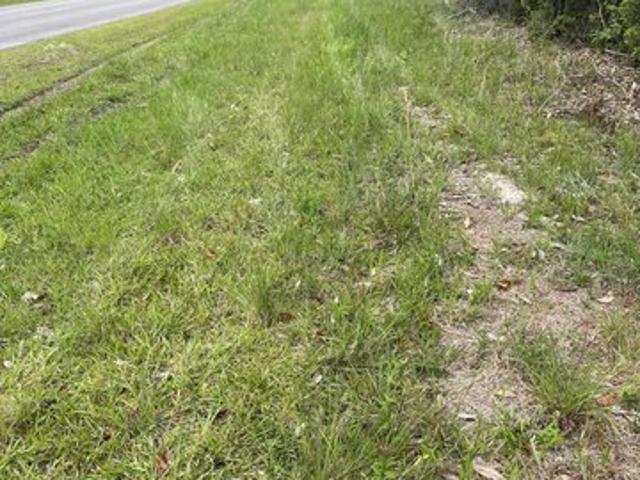 Land for sale in Picayune, Mississippi