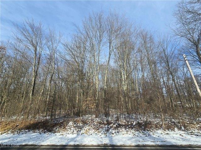 Land for sale in Ohio