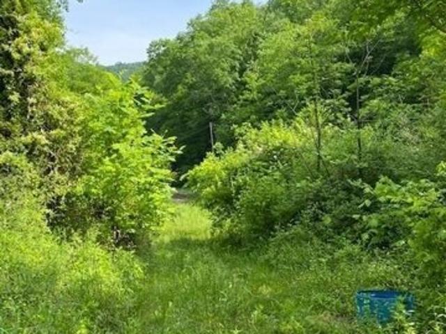 Land for sale in Harold