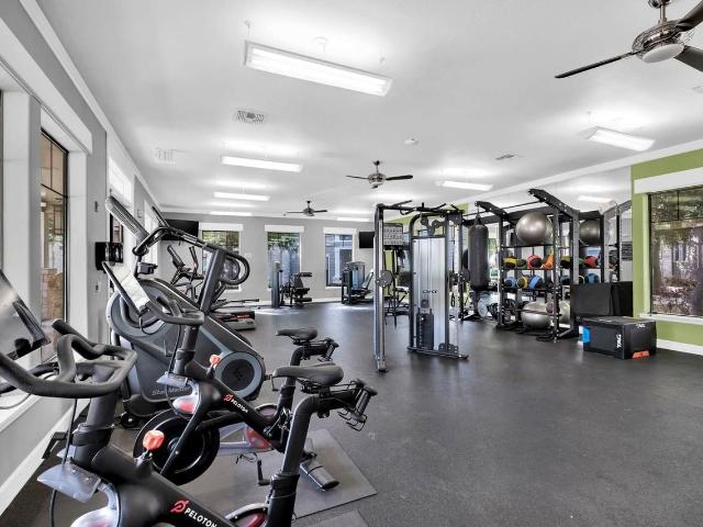 Apartment for rent in Leesville, Texas