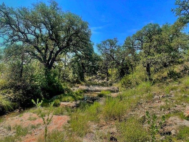Land for sale in Burnet, Texas
