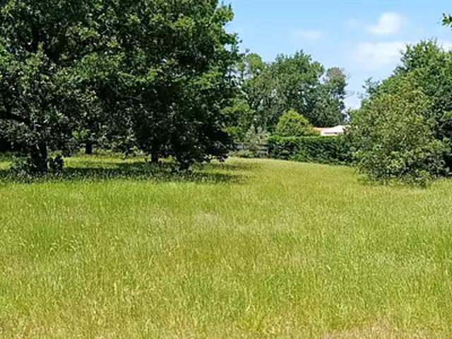 Terrain vente à Le Clos du Collège, Lège-Cap-Ferret