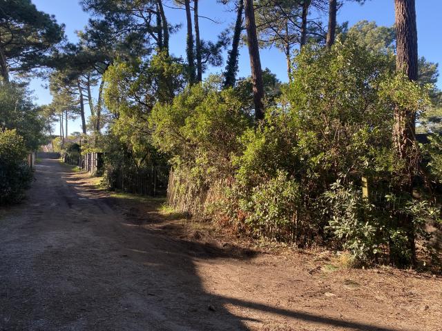 Maison vente à Arcachon, Lège-cap-ferret