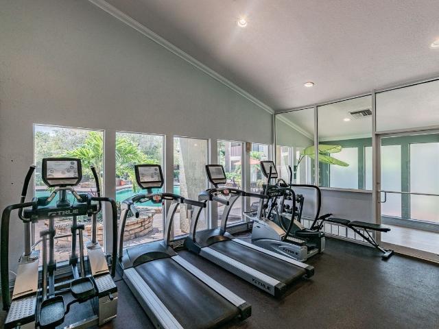 Apartment for rent in Tampa, Florida