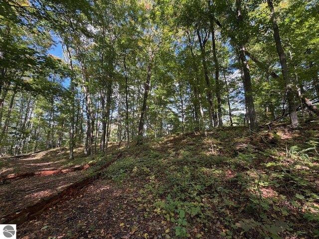 Land for sale in Bellaire, Antrim County
