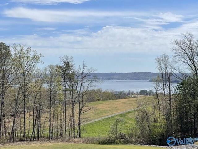 Land for sale in Guntersville