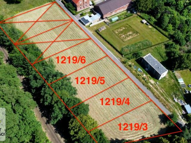 Grunt na sprzedaż w Olszyna, Dolnośląskie