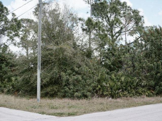 Land for sale in Lehigh Acres, Florida