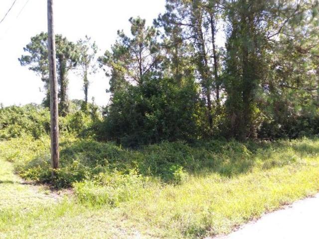Land for sale in Lehigh Acres, Florida