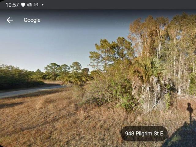 Land for sale in Lehigh Acres, Florida