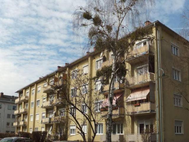 Apartment mieten in Altenmarkt, Kaindorf an der Sulm
