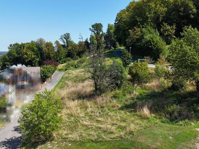 Grundstück kaufen in Kaindorf an der Sulm, Steiermark