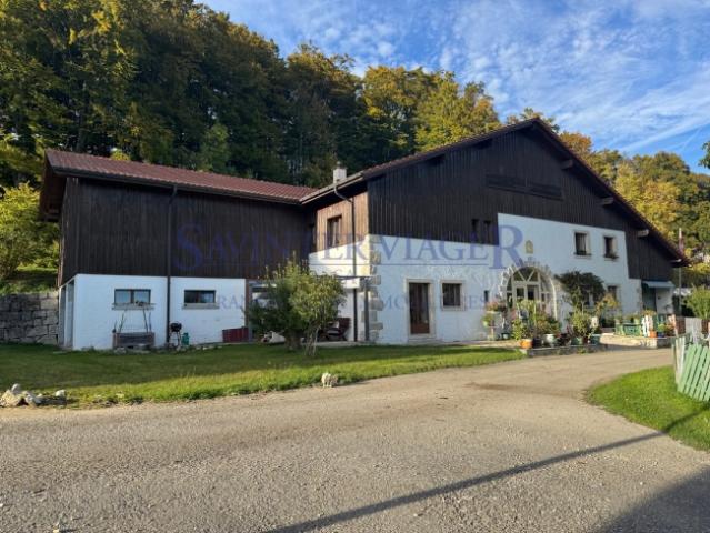 Einfamilienhaus kaufen in Moutier, Bern