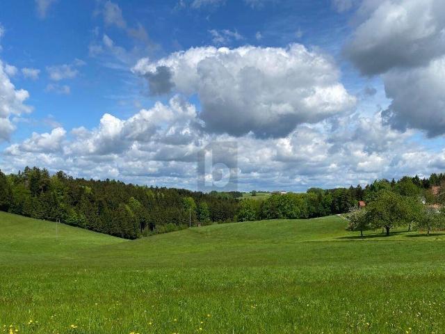 Immobilie kaufen in Maria Schmolln, Oberösterreich