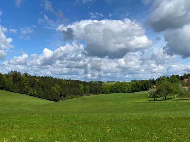 Grundstück kaufen in Haselbach, Braunau am Inn