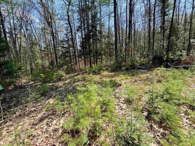 Land for sale in Newbury, Vermont